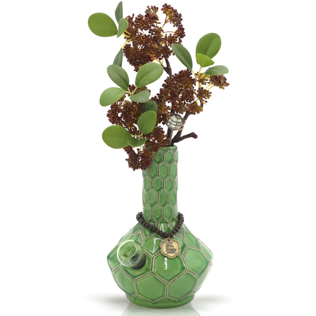 My Bud Vase Turtle Bong Front